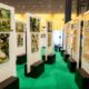 Exposição O Legado Suíço na Amazônia ocorre em Florianópolis