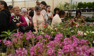 Festa de Flores e Morangos atrai 80 mil visitantes