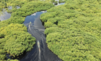 Belterra, na Amazônia, quer ser a "Machu Picchu brasileira"