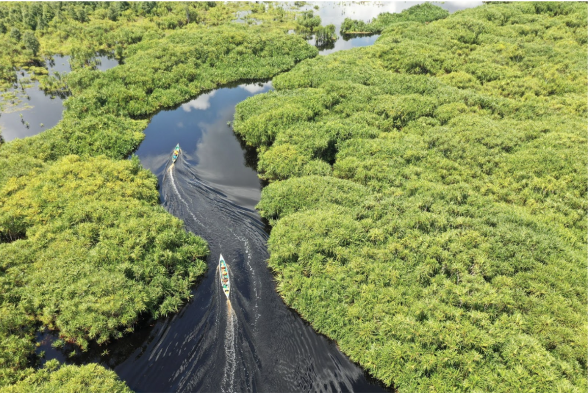 Belterra, na Amazônia, quer ser a "Machu Picchu brasileira"