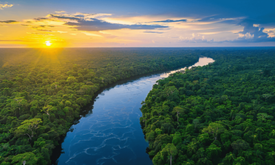 Amazônia é foco de conferência internacional em novembro