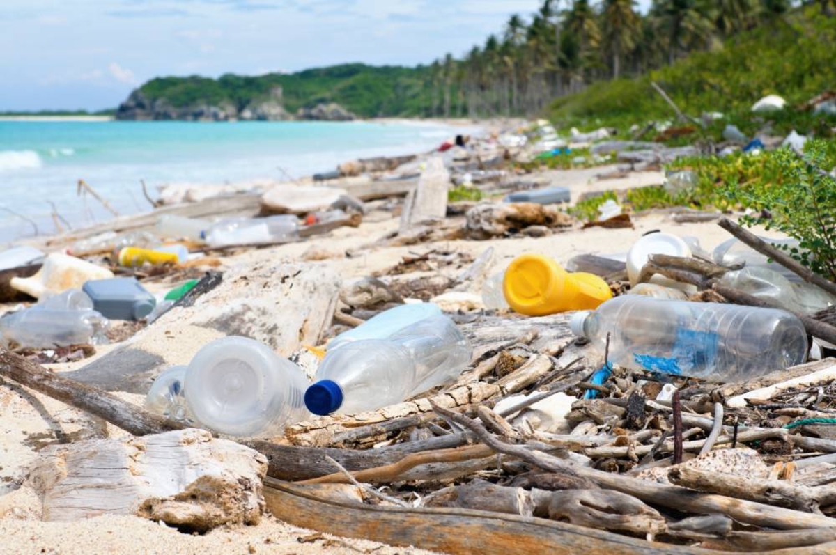 Turista Consciente: movimento quer reduzir lixo nas praias