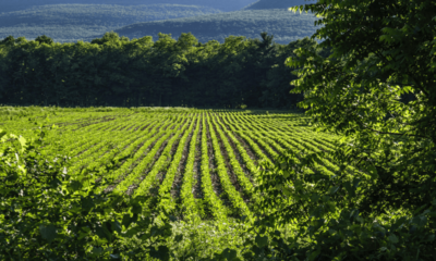 Agronegócio é parte da solução para mudanças climáticas