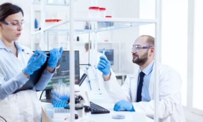Creatinas aprovadas pela Anvisa em nova análise de 2025