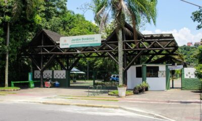 Forest Run leva corrida ao ar livre para o Jardim Botânico de Santos