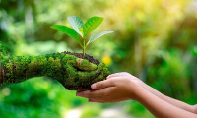Turismo regenerativo incentiva a conservação ambiental
