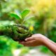 Turismo regenerativo incentiva a conservação ambiental
