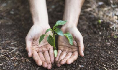 Projeto Viver Territórios promove workshops gratuitos