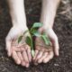 Projeto Viver Territórios promove workshops gratuitos