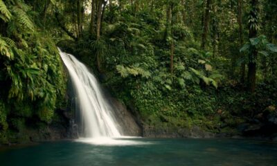 Ecoturismo combina contato com a natureza e sustentabilidade