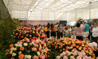 Atibaia é destaque nacional de produção de flores