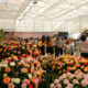 Atibaia é destaque nacional de produção de flores