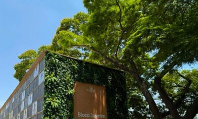 Grupo Maya promove acolhimento no Dia de Finados