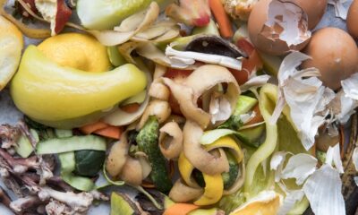 Pacto une setores para combater desperdício de alimentos