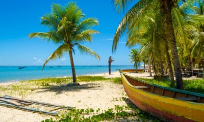 Turistas ampliam procura por passeios culturais em Ilhéus durante alta temporada