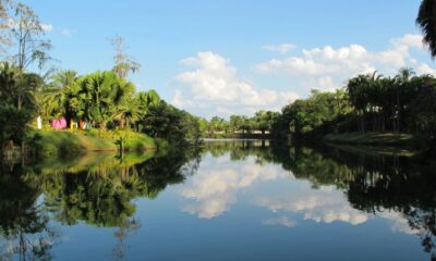 Inhotim projeta Minas Gerais no cenário internacional