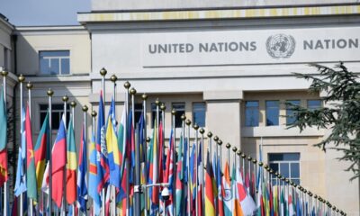 Brasileiro integra iniciativas da ONU nos Estados Unidos
