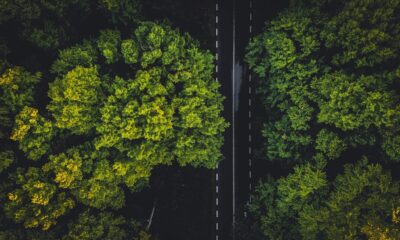 Empresas se adaptam às novas exigências de sustentabilidade