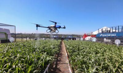 Agronegócio tem a melhor reputação corporativa do Brasil